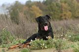 BEAUCERON 314